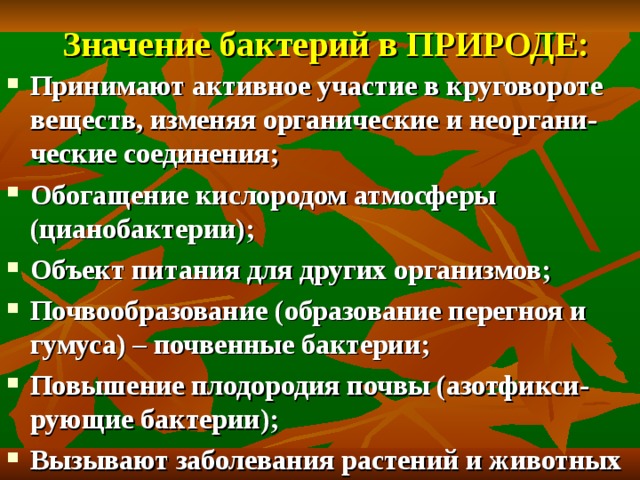 Значение бактерий в ПРИРОДЕ: Принимают активное участие в круговороте веществ, изменяя органические и неоргани-ческие соединения; Обогащение кислородом атмосферы (цианобактерии); Объект питания для других организмов; Почвообразование (образование перегноя и гумуса) – почвенные бактерии; Повышение плодородия почвы (азотфикси-рующие бактерии); Вызывают заболевания растений и животных 
