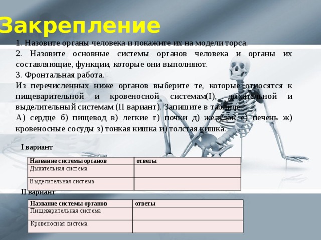Закрепление 1. Назовите органы человека и покажите их на модели торса. 2. Назовите основные системы органов человека и органы их составляющие, функции, которые они выполняют. 3. Фронтальная работа. Из перечисленных ниже органов выберите те, которые относятся к пищеварительной и кровеносной системам(I), дыхательной и выделительный системам (II вариант). Запишите в таблице. А) сердце б) пищевод в) легкие г) почки д) желудок е) печень ж) кровеносные сосуды з) тонкая кишка и) толстая кишка. I вариант Название системы органов Дыхательная система ответы Выделительная система II вариант Название системы органов Пищеварительная система ответы Кровеносная система. 