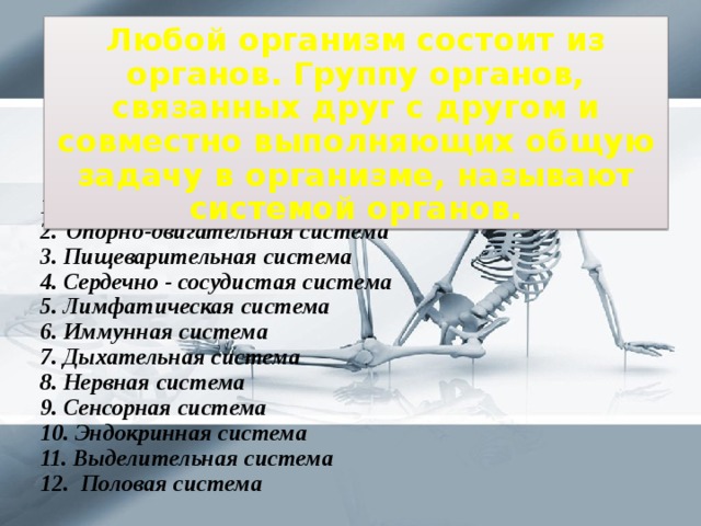 Любой организм состоит из органов. Группу органов, связанных друг с другом и совместно выполняющих общую задачу в организме, называют системой органов. Покровная система Опорно-двигательная система 3. Пищеварительная система 4. Сердечно - сосудистая система 5. Лимфатическая система 6. Иммунная система 7. Дыхательная система 8. Нервная система 9. Сенсорная система 10. Эндокринная система 11. Выделительная система 12. Половая система 