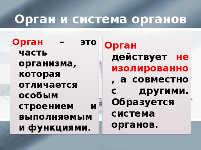 Орган и система органов Орган – это часть организма, которая отличается особым строением и выполняемыми функциями. Орган действует не изолированно , а совместно с другими. Образуется система органов. 
