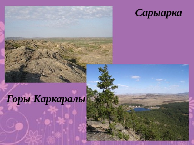 Сарыарка Горы Каркаралы