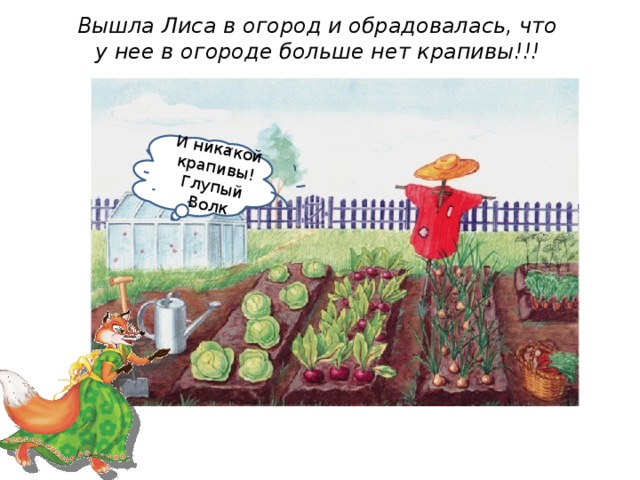 И никакой крапивы! Глупый Волк Вышла Лиса в огород и обрадовалась, что у нее в огороде больше нет крапивы!!! 