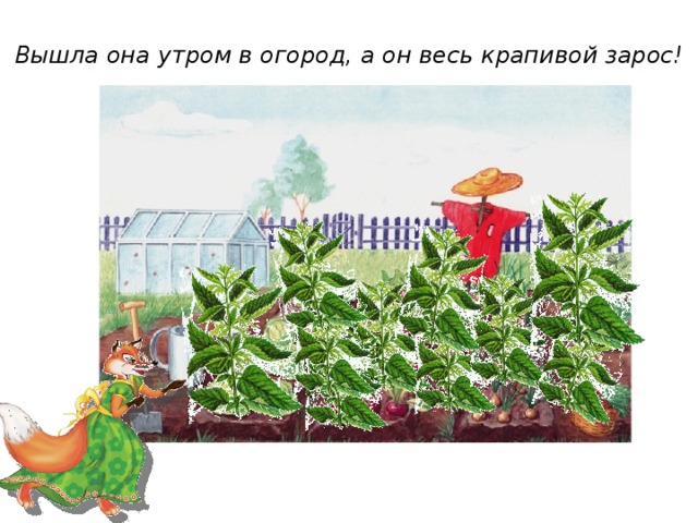 Вышла она утром в огород, а он весь крапивой зарос!  