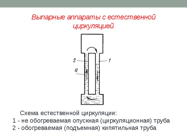 Выпарные аппараты с естественной циркуляцией  Схема естественной циркуляции:  1 - не обогреваемая опускная (циркуляционная) труба   2 - обогреваемая (подъемная) кипятильная труба   