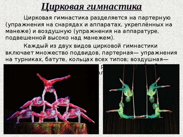 Цирковая гимнастика    Цирковая гимнастика разделяется на партерную (упражнения на снарядах и аппаратах, укреплённых на манеже) и воздушную (упражнения на аппаратуре, подвешенной высоко над манежем).  Каждый из двух видов цирковой гимнастики включает множество подвидов, партерная— упражнения на турниках, батуте, кольцах всех типов; воздушная— упражнения на трапециях всех родов, рамке, бамбуке, воздушном турнике, ремнях, полотнах, кольце, сфере. 