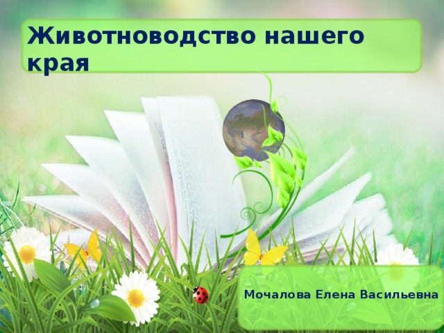 Животноводство нашего края Мочалова Елена Васильевна  