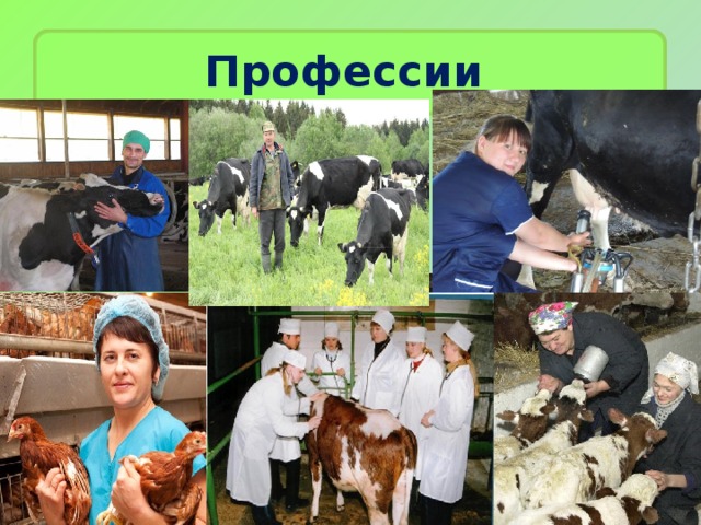 Профессии 
