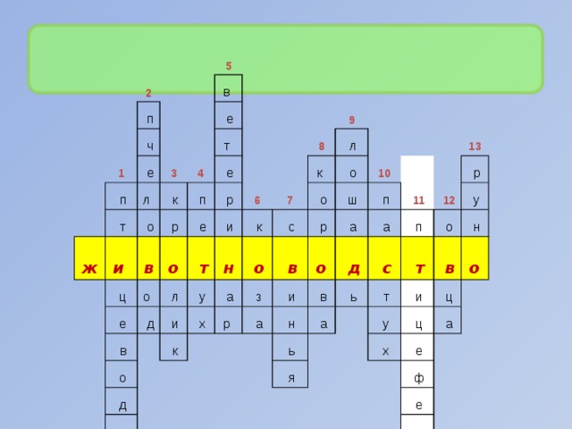 2   п 5 1   ч в    п   е л  ж   т 3   е 4 и  т    о   к   ц   е   в   р   п о    е   е   о   р 6   в   д 9   л 8   и   т к    о   и 7   л   н   у   к   х   д   а   к   о   о   с   о   з р    с   в   р   ш 10   о   а   т   и   а   п     д   н в    в   11   а   12 13   а   ь   ь   о   п   с   р   я   у   о   т   т   н   в   и   у   х   о   ц   ц   е   а   ф   е   р   м   а 