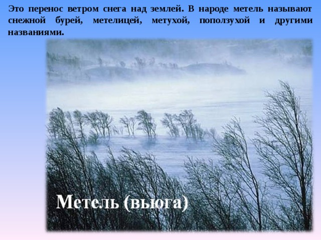 Это перенос ветром снега над землей. В народе метель называют снежной бурей, метелицей, метухой, поползухой и другими названиями. 