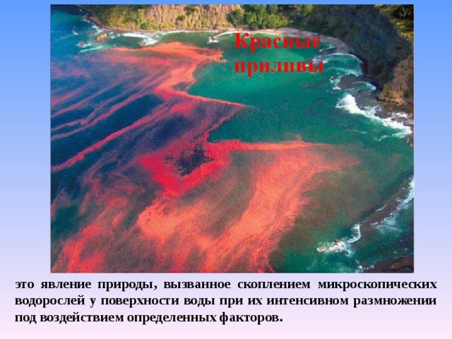 это явление природы, вызванное скоплением микроскопических водорослей у поверхности воды при их интенсивном размножении под воздействием определенных факторов. 