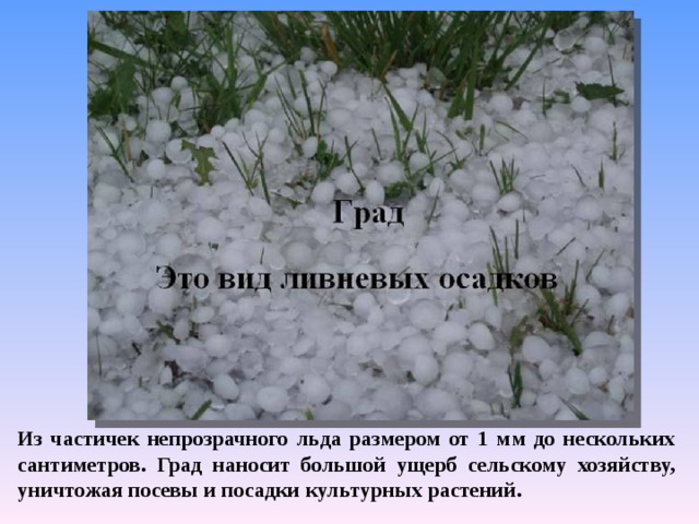 Из частичек непрозрачного льда размером от 1 мм до нескольких сантиметров. Град наносит большой ущерб сельскому хозяйству, уничтожая посевы и посадки культурных растений. 