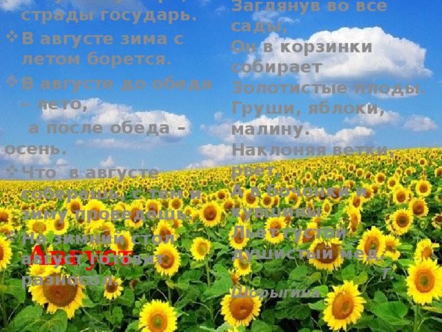 Август – густарь, страды государь. В августе зима с летом борется. В августе до обеда – лето,  а после обеда – осень. Что в августе соберешь, с тем и зиму проведёшь. На зимний стол август готовит разносол. Август устали не знает,  Заглянув во все сады,  Он в корзинки собирает  Золотистые плоды.  Груши, яблоки, малину.  Наклоняя ветки, рвет,  А в бочонки и кувшины  Льет густой душистый мед.   Т. Шорыгина Август 