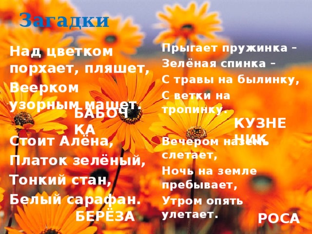 Загадки Над цветком порхает, пляшет, Веерком узорным машет.  Стоит Алёна, Платок зелёный, Тонкий стан, Белый сарафан.  Прыгает пружинка – Зелёная спинка – С травы на былинку, С ветки на тропинку.  Вечером наземь слетает, Ночь на земле пребывает, Утром опять улетает.  БАБОЧКА КУЗНЕЧИК БЕРЁЗА РОСА 
