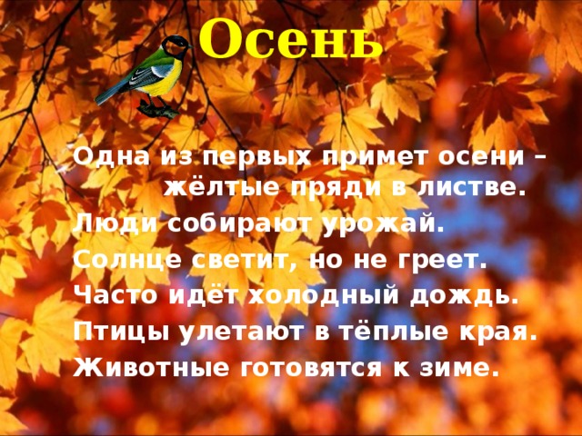 Осень Одна из первых примет осени – жёлтые пряди в листве. Люди собирают урожай. Солнце светит, но не греет. Часто идёт холодный дождь. Птицы улетают в тёплые края. Животные готовятся к зиме.  
