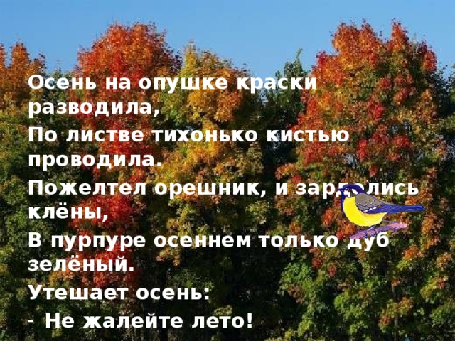 Осень на опушке краски разводила, По листве тихонько кистью проводила. Пожелтел орешник, и зарделись клёны, В пурпуре осеннем только дуб зелёный. Утешает осень: Не жалейте лето! Посмотрите – роща золотом одета!  З.Федоровская 
