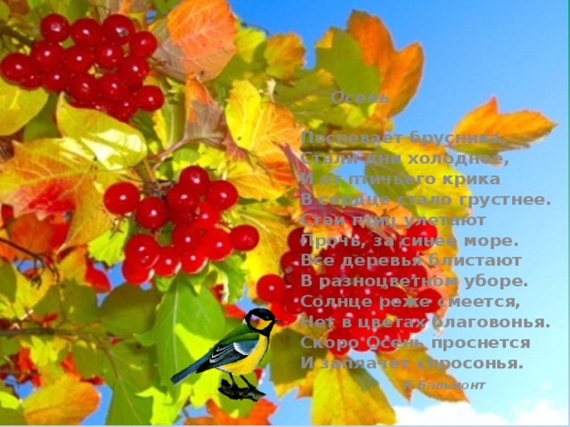       Осень   Поспевает брусника,  Стали дни холоднее,  И от птичьего крика  В сердце стало грустнее.  Стаи птиц улетают  Прочь, за синее море.  Все деревья блистают  В разноцветном уборе.  Солнце реже смеется,  Нет в цветах благовонья.  Скоро Осень проснется  И заплачет спросонья.    К.Бальмонт  