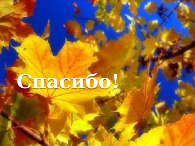 Спасибо! 