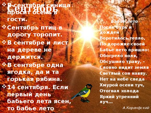 Сентябрь В сентябре синица просит осень в гости. Сентябрь птиц в дорогу торопит. В сентябре и лист на дереве не держится. В сентябре одна ягодка, да и та горькая рябина. 14 сентября. Если первый день бабьего лета ясен, то бабье лето будет тёплым.  Бабье лето После бурь и дождей Воротилось тепло, По дорожке своей Бабье лето пришло: Обогрело поля, Обсушило траву, – Словно видит земля Светлый сон наяву. Нет на небе следа Хмурой осени туч, Отогнал холода Яркий утренний луч…  А.Коринфский 