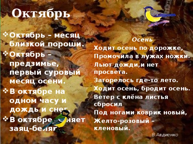 Октябрь Октябрь – месяц близкой пороши. Октябрь – предзимье, первый суровый месяц осени. В октябре на одном часу и дождь и снег. В октябре линяет заяц-беляк. Осень  Ходит осень по дорожке, Промочила в лужах ножки. Льют дожди,и нет просвета. Загорелось где-то лето. Ходит осень, бродит осень. Ветер с клёна листья сбросил Под ногами коврик новый, Желто-розовый – кленовый.  В.Авдиенко 