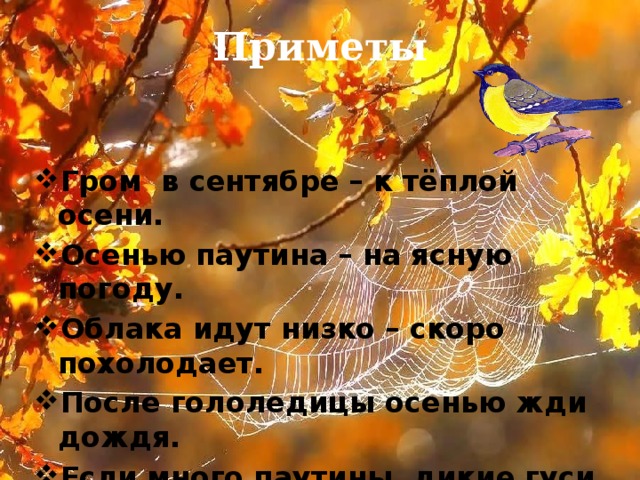 Приметы Гром в сентябре – к тёплой осени. Осенью паутина – на ясную погоду. Облака идут низко – скоро похолодает. После гололедицы осенью жди дождя. Если много паутины, дикие гуси садятся, а скворцы не улетели – осень затяжная и сухая. Если осень тёплая - будет долгая зима.  