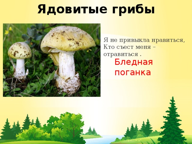 Ядовитые грибы Я не привыкла нравиться,  Кто съест меня – отравиться . Бледная поганка 