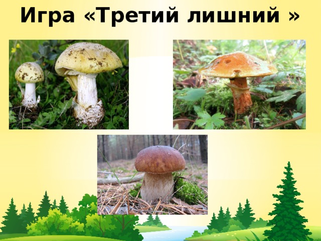 Игра «Третий лишний » 