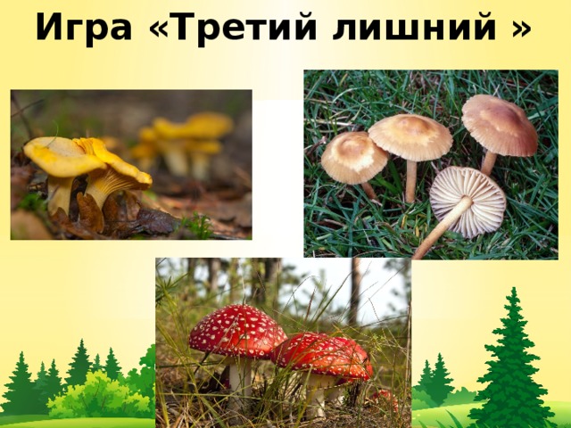 Игра «Третий лишний » 