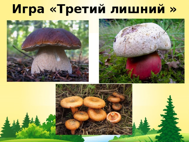 Игра «Третий лишний » 