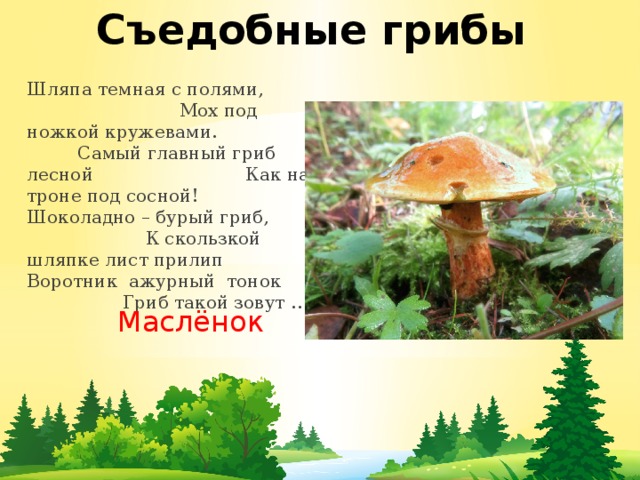 Съедобные грибы Шляпа темная с полями, Мох под ножкой кружевами. Самый главный гриб лесной Как на троне под сосной! Шоколадно – бурый гриб, К скользкой шляпке лист прилип Воротник  ажурный  тонок Гриб такой зовут …    Маслёнок 