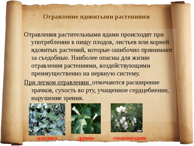 Отравление ядовитыми растениями Отравления растительными ядами происходят при употреблении в пищу плодов, листьев или корней ядовитых растений, которые ошибочно принимают за съедобные. Наиболее опасны для жизни отравления растениями, воздействующими преимущественно на нервную систему. При легком отравлении отмечаются расширение зрачков, сухость во рту, учащенное сердцебиение, нарушение зрения. красавка дурман снежноягодник 