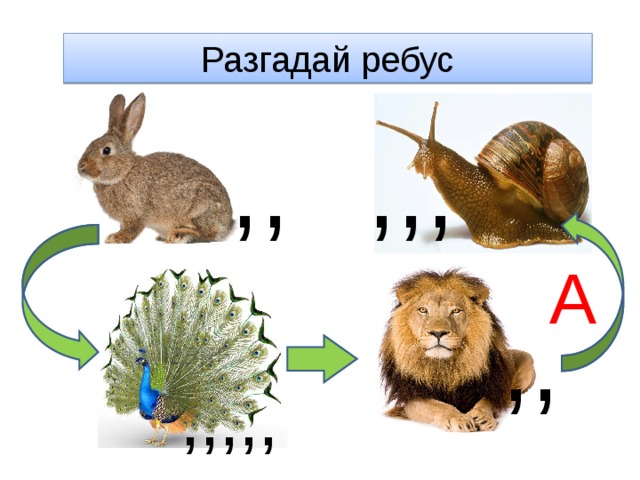 Разгадай ребус ,, ,,, А ,, ,,,,, 