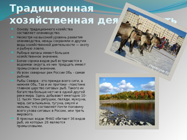 Традиционная хозяйственная деятельность