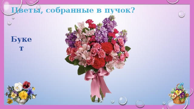 Цветы, собранные в пучок? Букет 