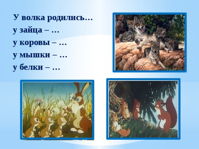 У волка родились… у зайца – … у коровы – … у мышки – … у белки – …  