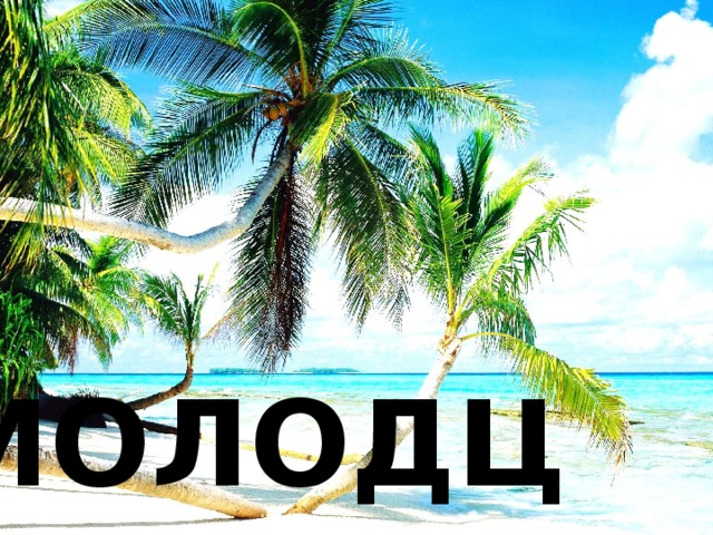 МОЛОДЦЫ! 