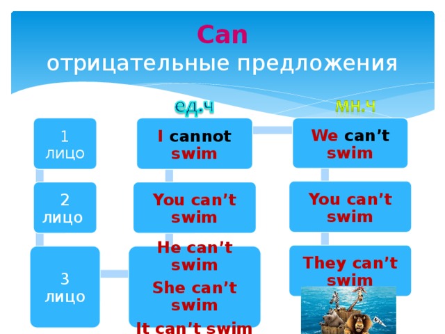 Can  отрицательные предложения 1 лицо I cannot swim We can’t swim You can’t swim 2 лицо You can’t swim They can’t swim 3 лицо He can’t swim She can’t swim It can’t swim 