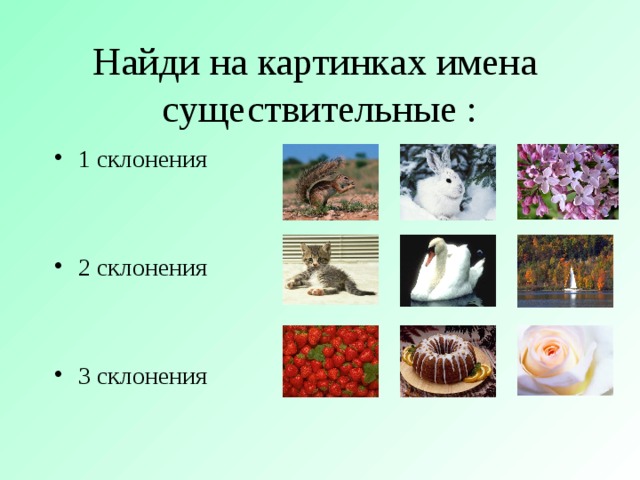 Найди на картинках имена  существительные : 1 склонения   2 склонения   3 склонения 