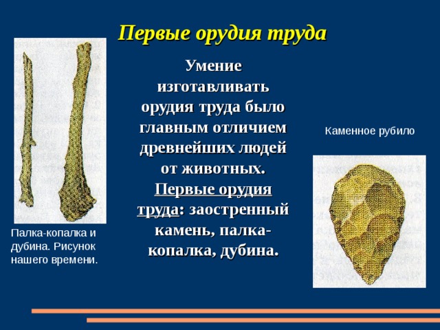 Первые орудия труда Умение изготавливать орудия труда было главным отличием древнейших людей от животных. Первые орудия труда : заостренный камень, палка-копалка, дубина. Каменное рубило Палка-копалка и дубина. Рисунок нашего времени. 