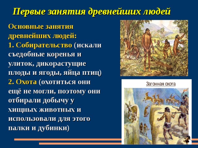 Первые занятия древнейших людей Основные занятия древнейших людей: 1. Собирательство (искали съедобные коренья и улиток, дикорастущие плоды и ягоды, яйца птиц) 2. Охота (охотиться они ещё не могли, поэтому они отбирали добычу у хищных животных и использовали для этого палки и дубинки) 