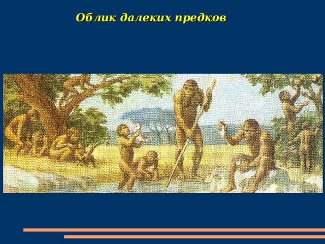 Облик далеких предков 