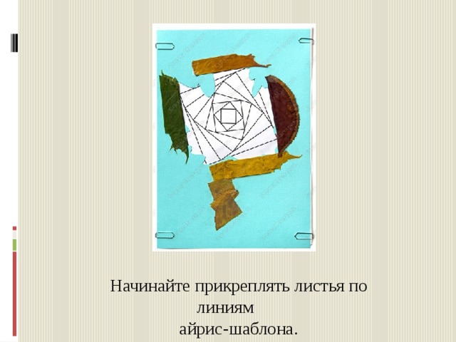 Начинайте прикреплять листья по линиям  айрис-шаблона. 