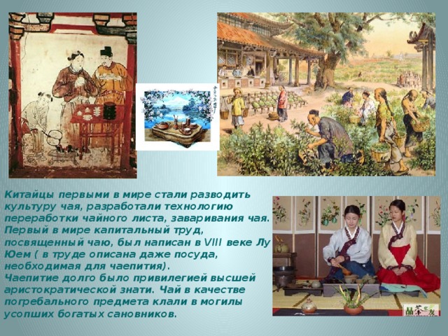 Китайцы первыми в мире стали разводить культуру чая, разработали технологию переработки чайного листа, заваривания чая. Первый в мире капитальный труд, посвященный чаю, был написан в VIII веке Лу Юем ( в труде описана даже посуда, необходимая для чаепития). Чаепитие долго было привилегией высшей аристократической знати. Чай в качестве погребального предмета клали в могилы усопших богатых сановников. 