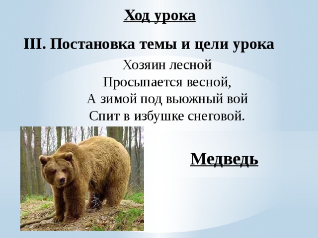 Ход урока III. Постановка темы и цели урока Хозяин лесной Просыпается весной, А зимой под вьюжный вой Спит в избушке снеговой. Медведь 