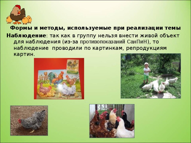 Формы и методы, используемые при реализации темы Наблюдение : так как в группу нельзя внести живой объект для наблюдения (из-за противопоказаний СанПиН ), то наблюдение проводили по картинкам, репродукциям картин. 