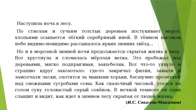 Наступила ночь в лесу. По стволам и сучьям толстых деревьев постукивает мороз, хлопьями осыпается лёгкий серебряный иней. В тёмном высоком небе видимо-невидимо рассыпалось ярких зимних звёзд... Но и в морозной зимней ночи продолжается скрытая жизнь в лесу. Вот хрустнула и сломалась мёрзлая ветка. Это пробежал под деревьями, мягко подпрыгивая, заяц-беляк. Вот что-то ухнуло и страшно вдруг захохотало: где-то закричал филин, завыли и замолчали ласки, охотятся за мышами хорьки, бесшумно пролетают над снежными сугробами совы. Как сказочный часовой, уселся на голом суку головастый серый совёнок. В ночной темноте он один слышит и видит, как идет в зимнем лесу скрытая от людей жизнь. ( И.С. Соколов-Микитов) 