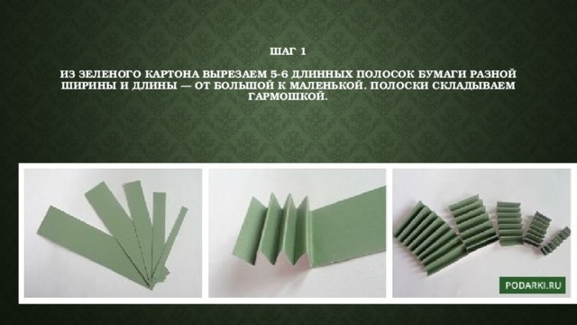 Шаг 1   Из зеленого картона вырезаем 5-6 длинных полосок бумаги разной ширины и длины — от большой к маленькой. Полоски складываем гармошкой. 