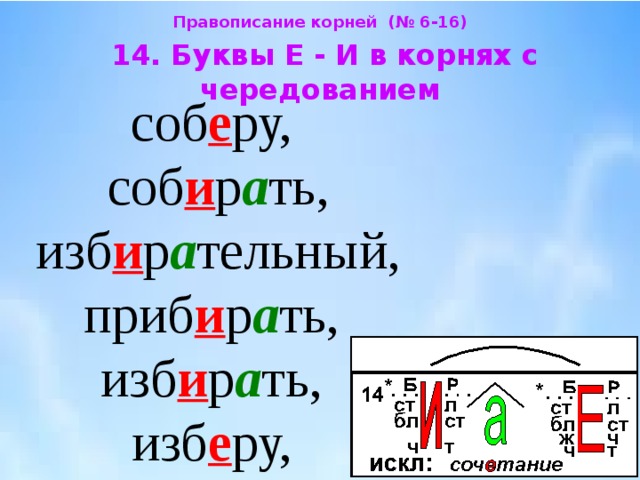 Правописание корней (№ 6-16)  14. Буквы Е - И в корнях с чередованием  соб е ру,  соб и р а ть, изб и р а тельный, приб и р а ть,  изб и р а ть,  изб е ру, 