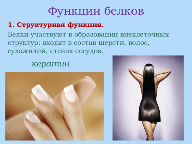 Функции белков  1. Структурная функция.  Белки участвуют в образовании внеклеточных структур: входят в состав шерсти, волос, сухожилий, стенок сосудов. кератин 