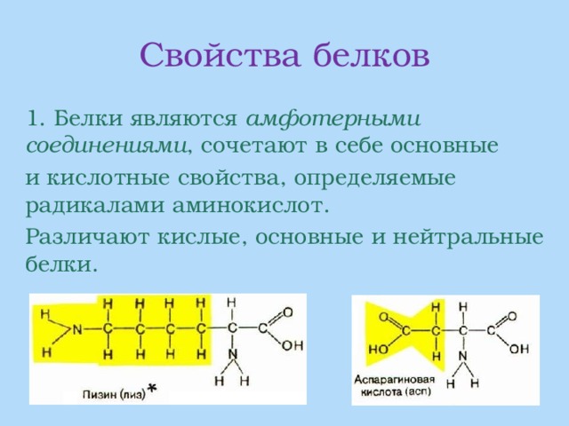 Свойства белков  1. Белки являются амфотерными  соединениями , сочетают в себе основные  и кислотные свойства, определяемые радикалами аминокислот.  Различают кислые, основные и нейтральные белки. 