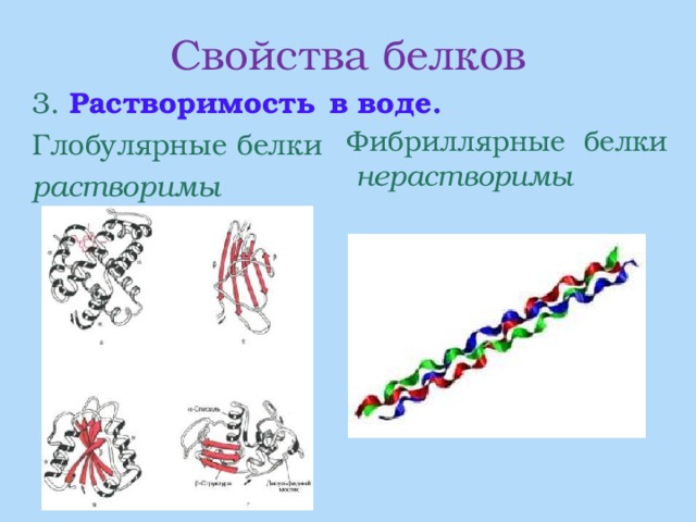 Свойства белков  3. Растворимость  в воде.   Глобулярные белки  растворимы  Фибриллярные белки нерастворимы 